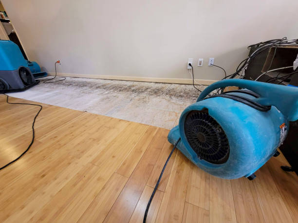 Professional Water Damage Repair technician working in Wells, ME